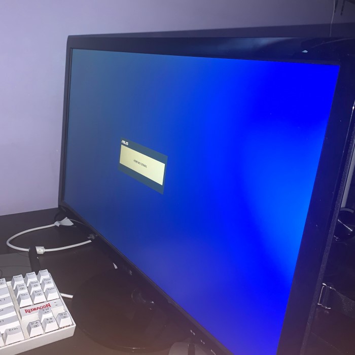 monitor no signal hdmi