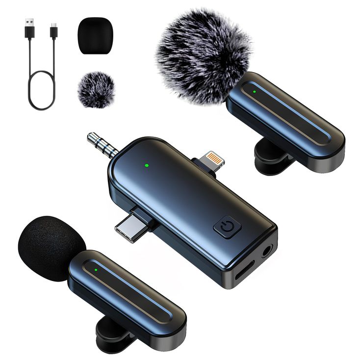 mini Microphone