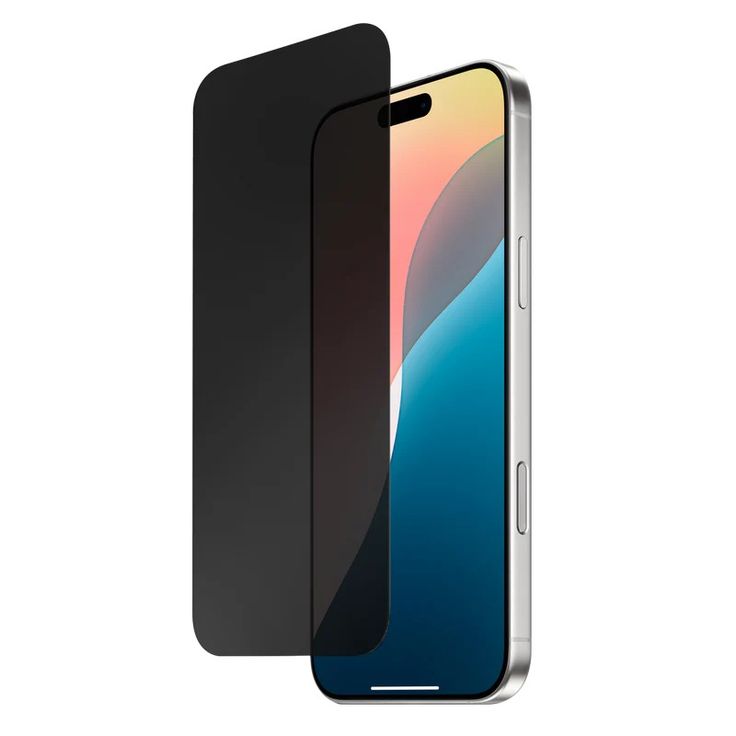 Screen shield