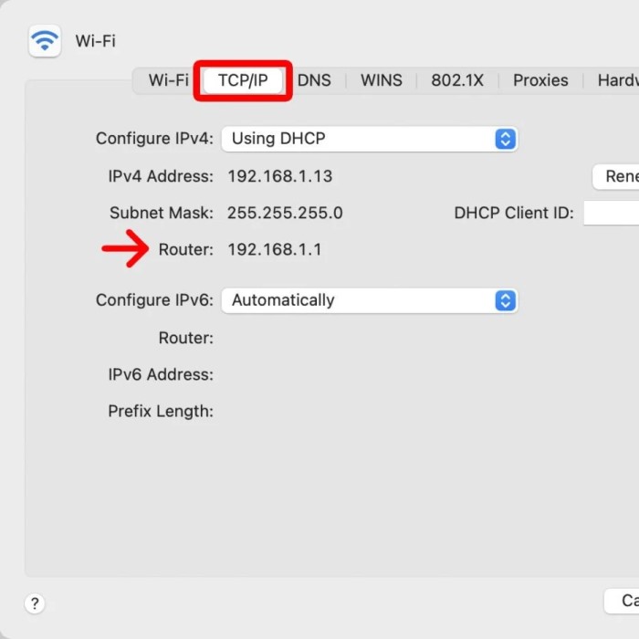 router ip