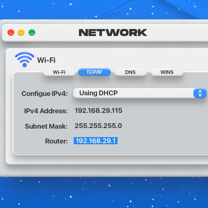 router ip