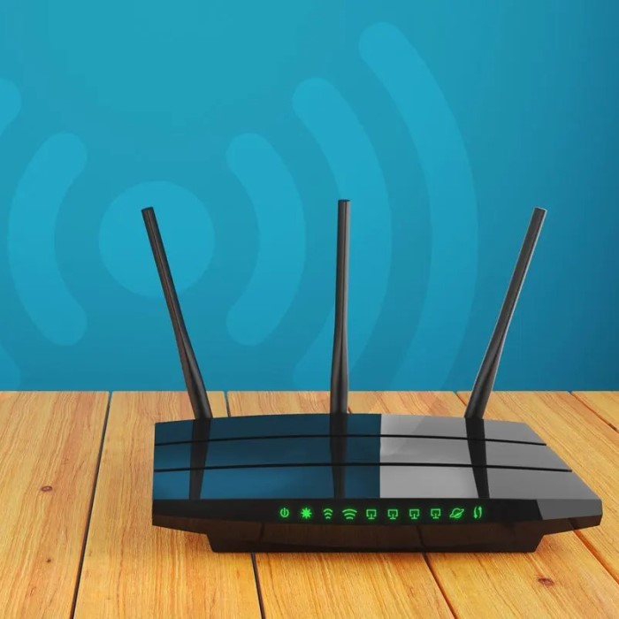 router ip
