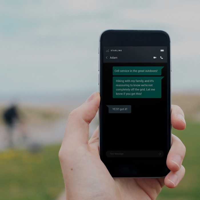 starlink satellite phone calls