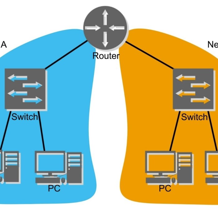 switch vs router