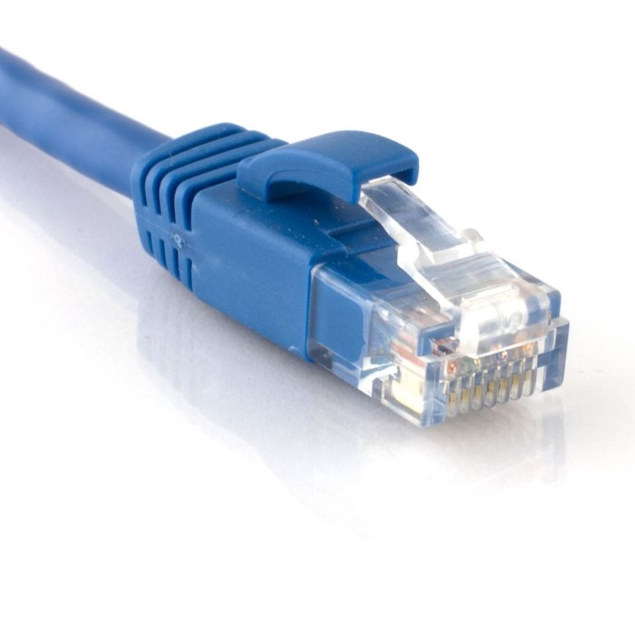cat6 network cable