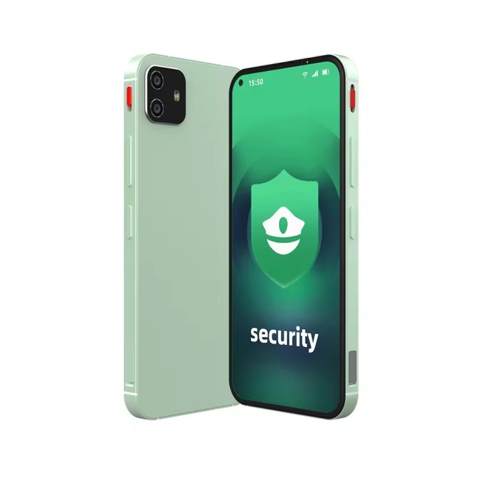 secure cell phone