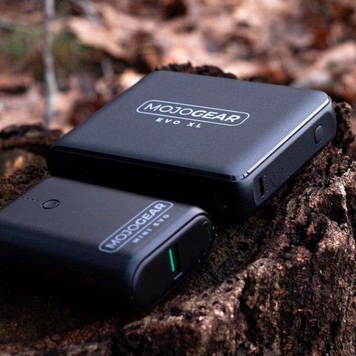 can i bring 10000mah power bank on plane