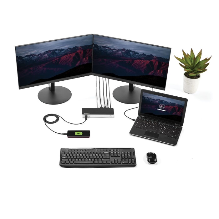 usb c docking station dual monitor