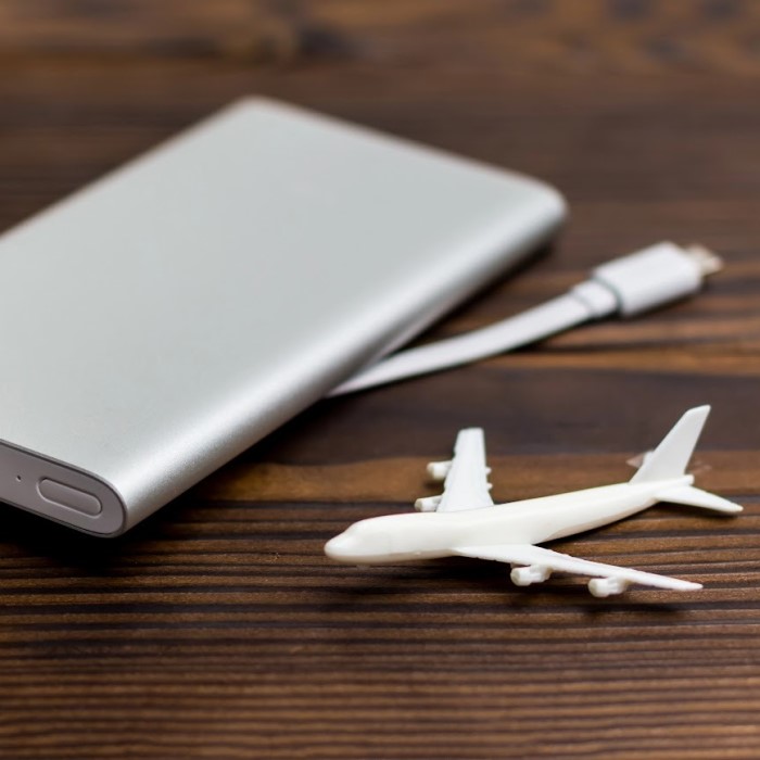 is 20000mah power bank allowed in flight