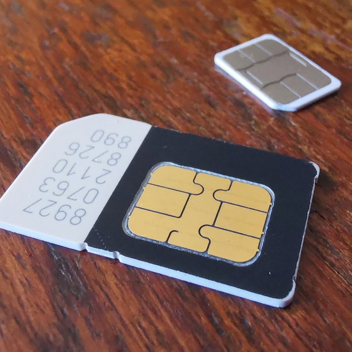 why does my phone keep saying no sim card