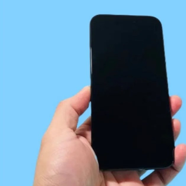 why is my phone screen black