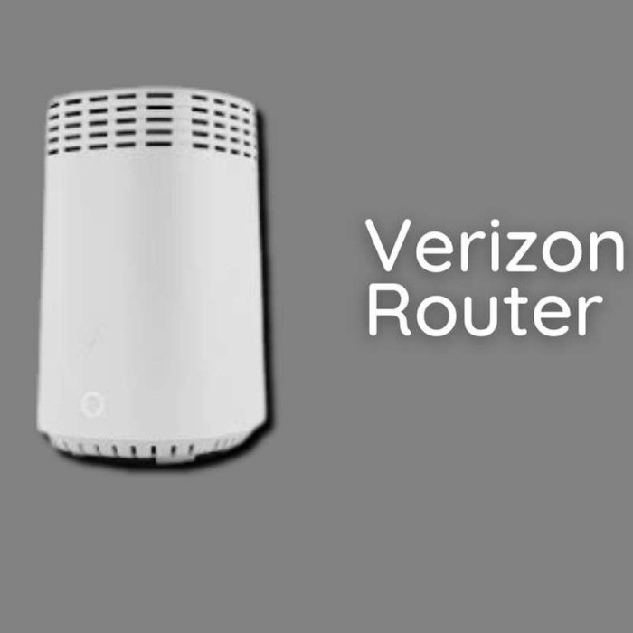 fios router