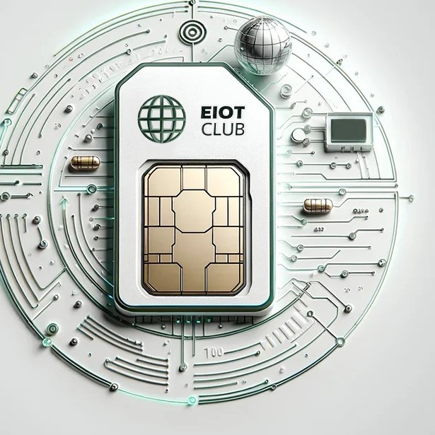 what information is on a sim card